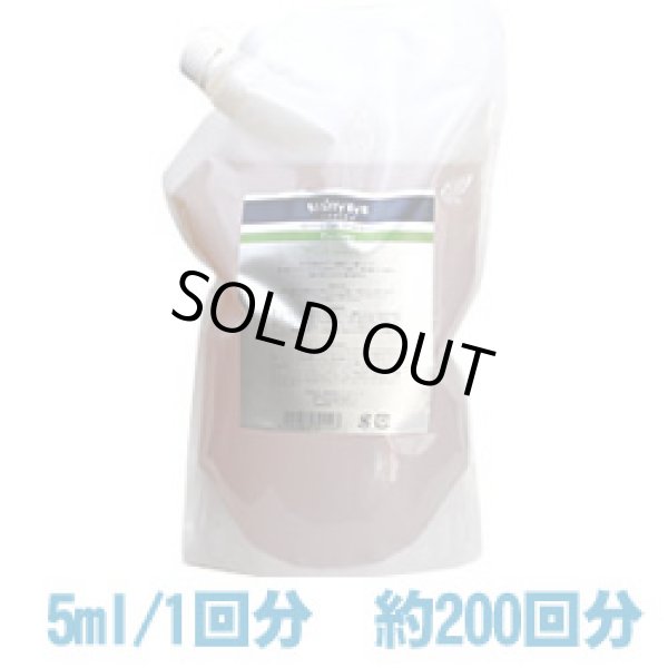 画像1: 【送料無料】 弱酸性アミノ酸シャンプー 【アミノゲルシャンプー】 1000ml　ノンリンスタイプ サロン仕様　ゲル化粧品　スタアリィアイ